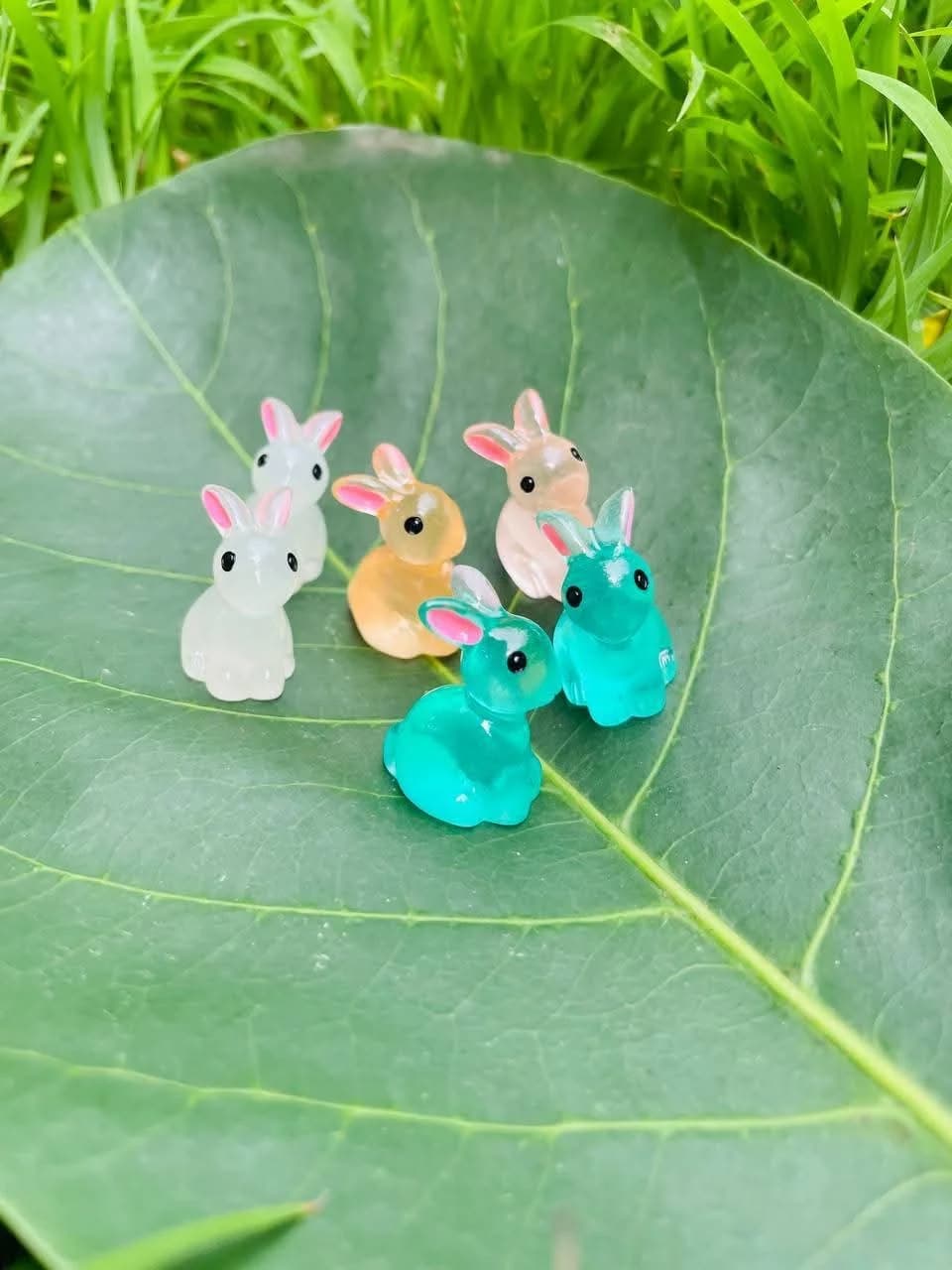 Glowing bunnies in four colours
